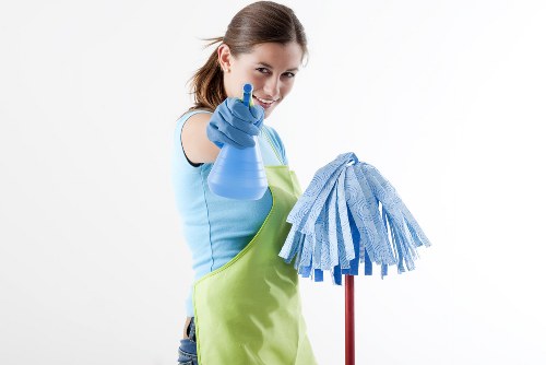 Accessible Carpet Cleaning Westminster website on a screen reader friendly interface