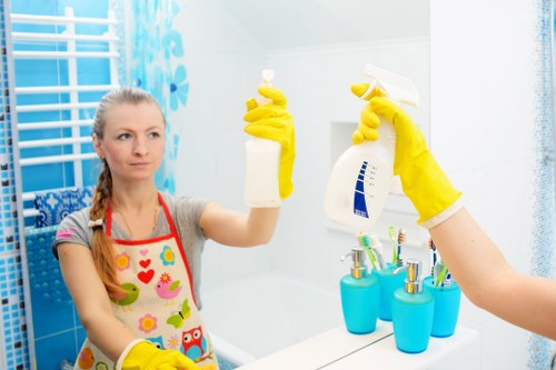 Professional oven cleaning service for Westminster homes and apartments