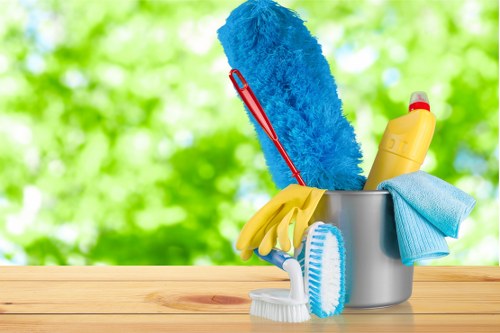 Carpet cleaning quote discussion for a Westminster home