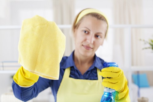 Mattress cleaning service for a Westminster home bedroom