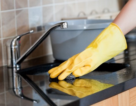 Professional treatment for pet urine stains in a Westminster carpet