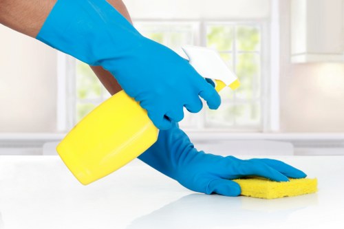 Reviewing accessibility improvements for a carpet cleaning website