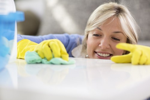 Pet stain odour removal equipment used in a Westminster property