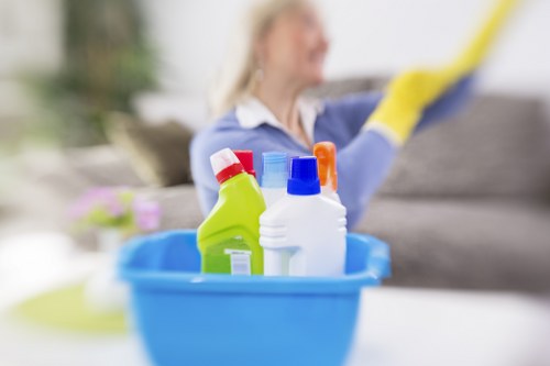 Detailed cleaning of a Westminster apartment living space