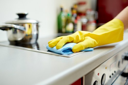 Cleaner using equipment for hard-to-reach windows in Westminster