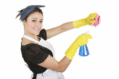 Stain removal service for rugs and soft furnishings in Westminster