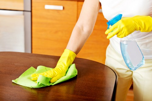 Local Westminster cleaners maintaining a tidy office and reception area